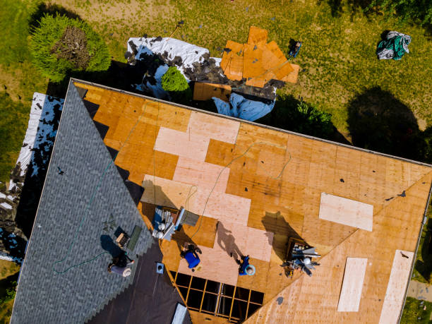 Best Commercial Roofing Services  in New Iberia, LA